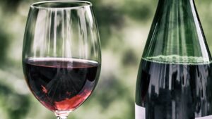 Se você gosta de vinho deve conhecer essas cidades do Brasil