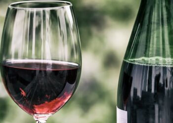 Se você gosta de vinho deve conhecer essas cidades do Brasil