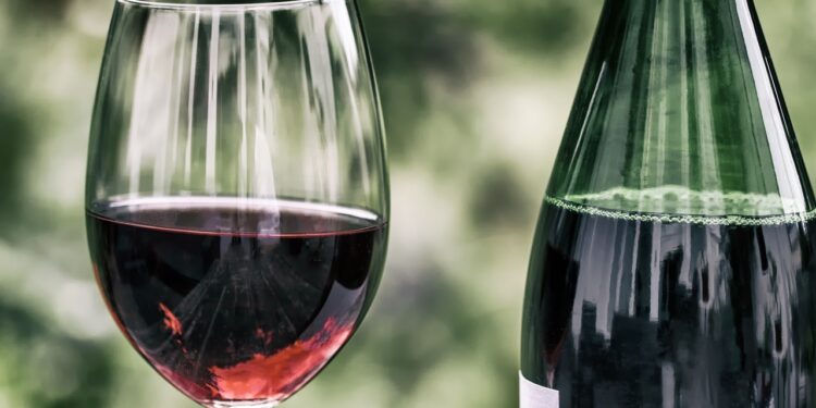 Se você gosta de vinho deve conhecer essas cidades do Brasil