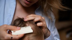 piolho volta às aulas