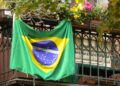 Plantas brasileiras que inspiram perfumes globais