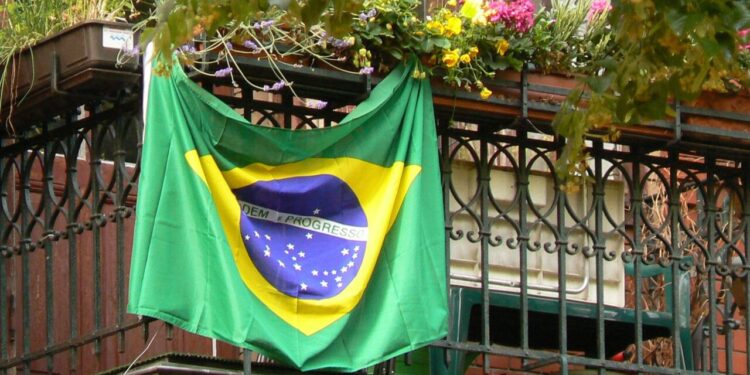 Plantas brasileiras que inspiram perfumes globais