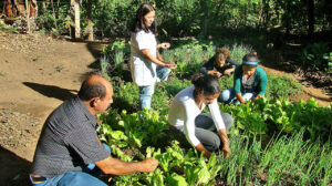 Celebridades que cultivam hortas em casa