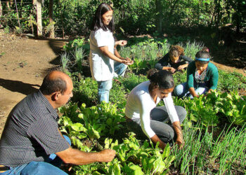 Como a jardinagem pode salvar a relação com sua família