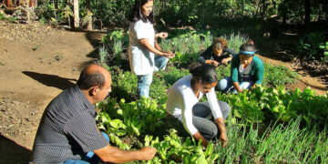 Como fazer adubo caseiro do jeito mais fácil