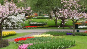 Como harmonizar cores e cheiros no mesmo jardim