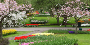 Como harmonizar cores e cheiros no mesmo jardim
