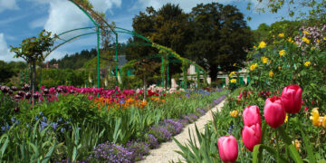 Como o cheiro da terra melhora a disposição