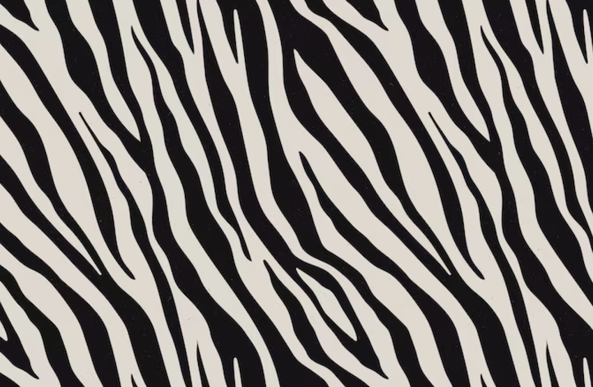 Animal print: como usar com estilo? Foto: FreePik