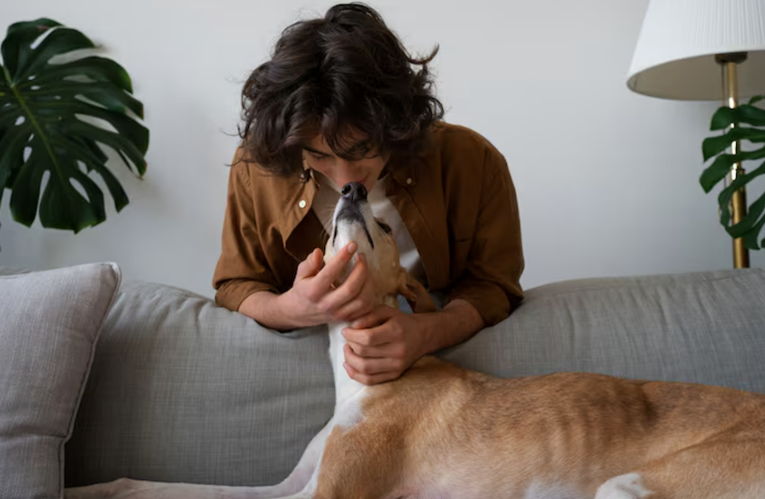Ansiedade em pets é real - veja como controlar. Foto: FreePik