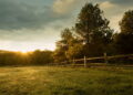 Fim de tarde no campo - Créditos: depositphotos.com / Geribody