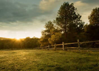 Fim de tarde no campo - Créditos: depositphotos.com / Geribody