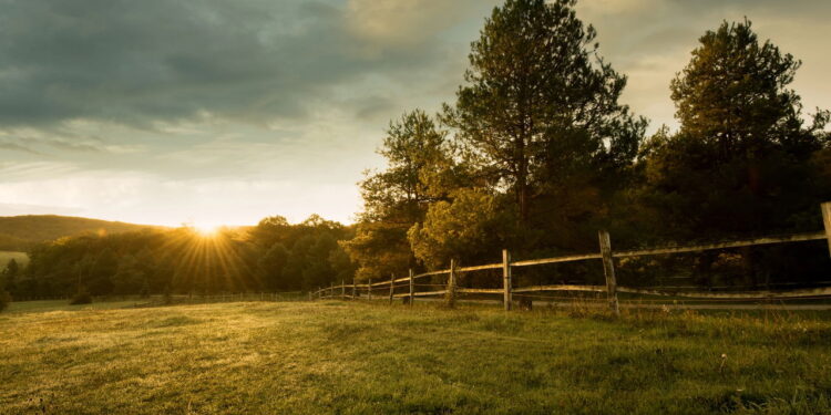 Fim de tarde no campo - Créditos: depositphotos.com / Geribody