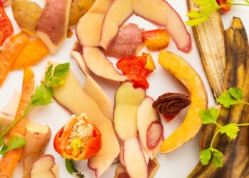 reaproveitamento de alimentos