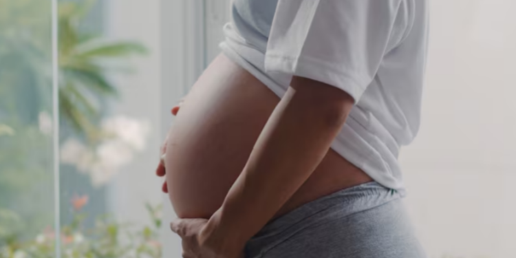 Endometriose e infertilidade não são sinônimos. Foto: FreePik