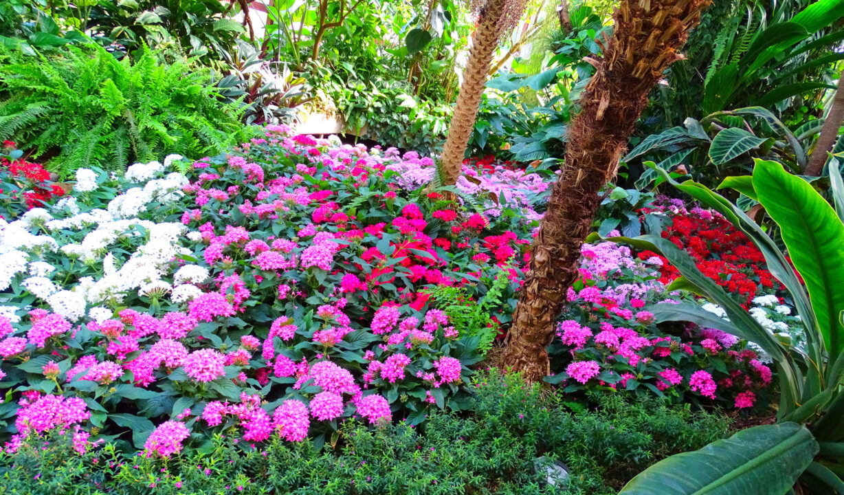 Famosos que você não sabia que são apaixonados pela jardinagem