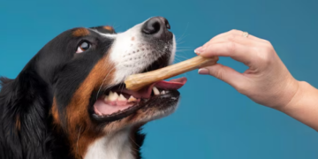 Petiscos para pets são saudáveis? Foto: FreePik