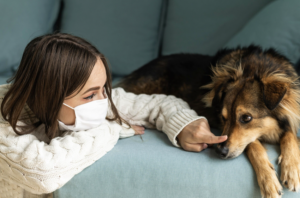 Pets e rinite - o que fazer? Foto: FreePik