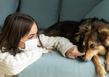 Pets e rinite - o que fazer? Foto: FreePik