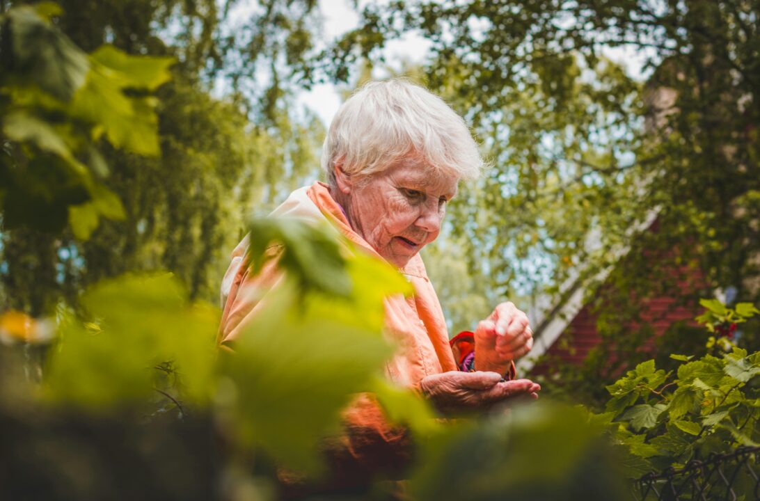 Como a jardinagem pode te deixar menos ansiosa