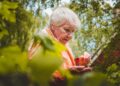 Como a jardinagem ajuda na saúde mental de idosos