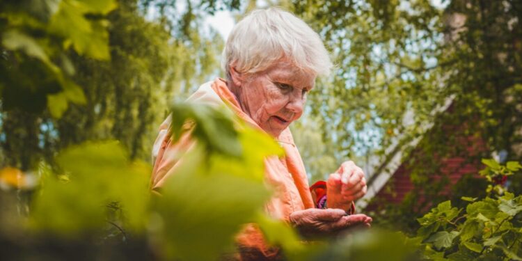 Como a jardinagem ajuda idosos a se manterem ativos