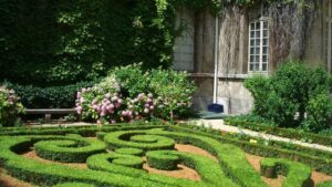 Técnicas simples para intensificar perfumes naturais no jardim
