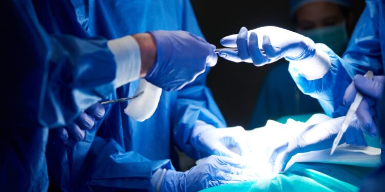 Rins de porco em humanos