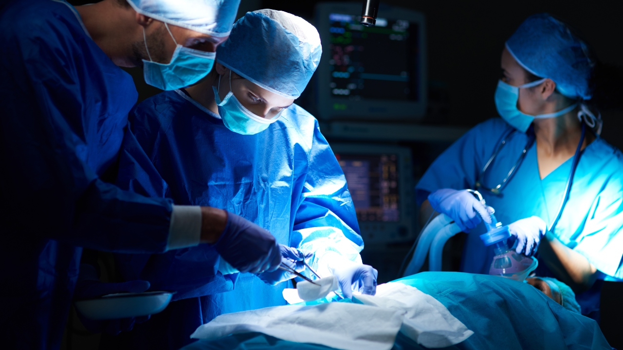 Rins de porco em humanos