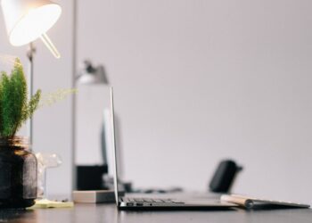 As plantas para você ter no seu escritório que aumentarão sua produtividade