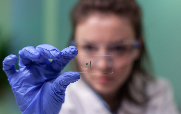 Veja curiosidades sobre testes genéticos e de DNA. Foto: FreePik