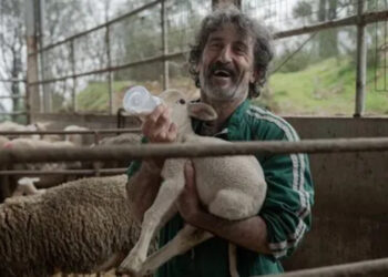 Animal - Créditos : Netflix