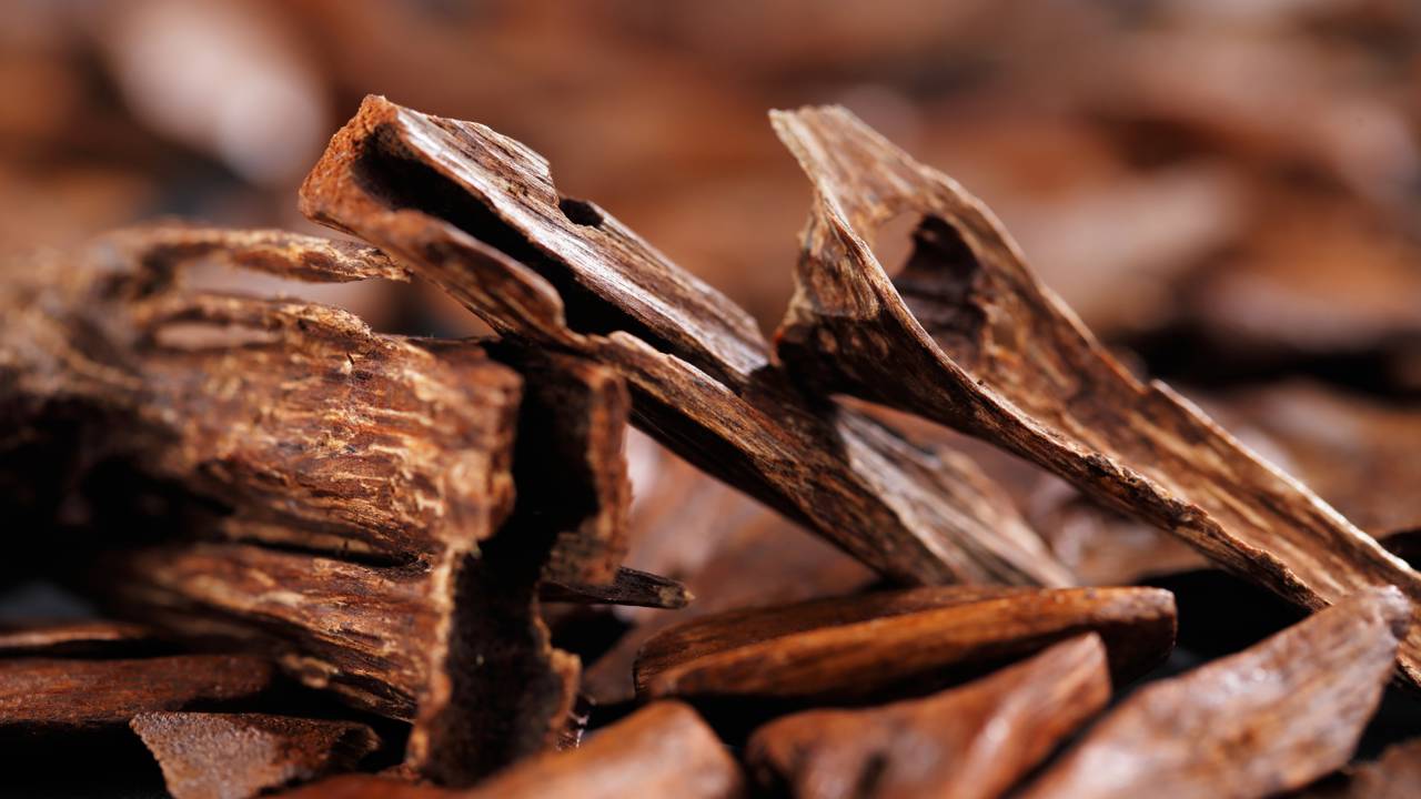 Os 3 aromas perfeitos para uma casa com cheiro de riqueza