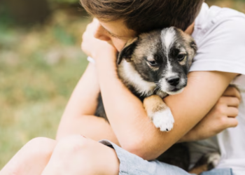 Compatibilidade importa - veja como escolher seu melhor amigo. Foto: FreePik