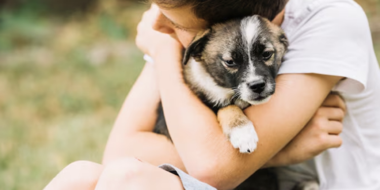 Compatibilidade importa - veja como escolher seu melhor amigo. Foto: FreePik