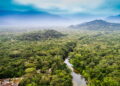 Amazônia - Créditos: depositphotos.com / gustavofrazao