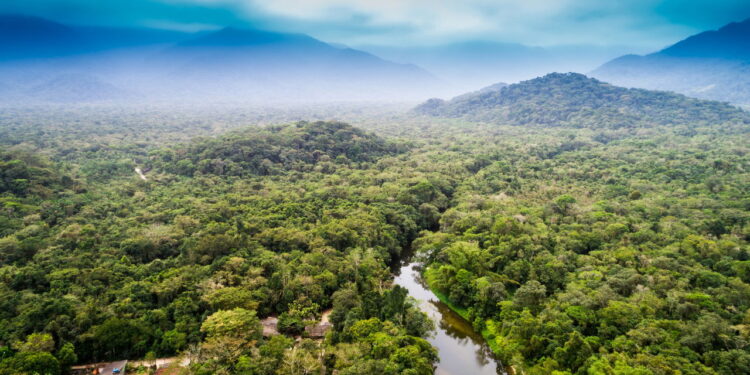 Amazônia - Créditos: depositphotos.com / gustavofrazao