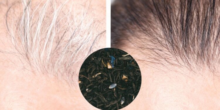 Tinta natural com 2 ingredientes reverte cabelos brancos e faz mulheres 60+ economizarem no salão
