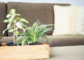 Torne sua casa mais aconchegante! Foto: FreePik