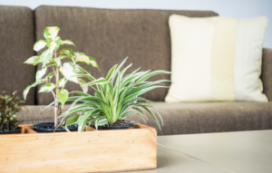 Torne sua casa mais aconchegante! Foto: FreePik