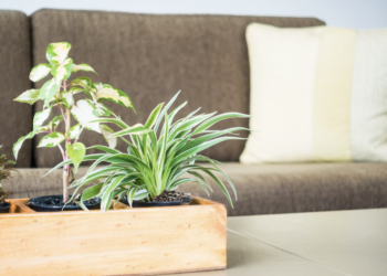 Torne sua casa mais aconchegante! Foto: FreePik