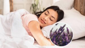 A lavanda e o poder de seu aroma de induzir o sono