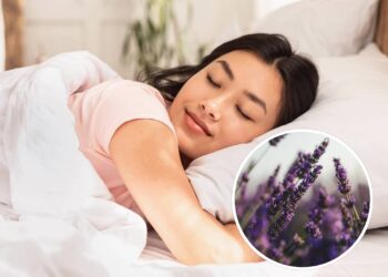 A lavanda e o poder de seu aroma de induzir o sono
