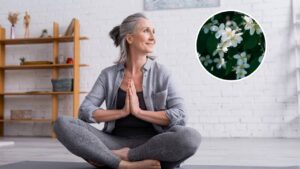 As plantas mais indicadas para práticas de yoga e meditação