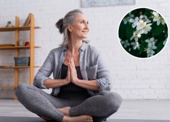 As plantas mais indicadas para práticas de yoga e meditação