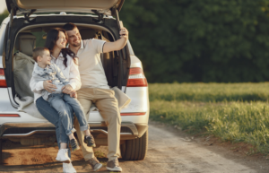 O que é a Carta Verde, necessária para viajar de carro pela América Latina? Foto: FreePik