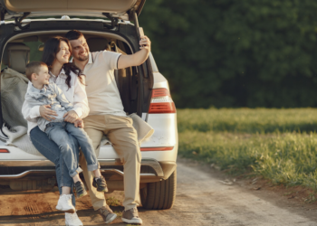 O que é a Carta Verde, necessária para viajar de carro pela América Latina? Foto: FreePik