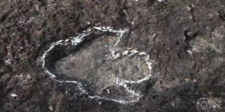 pegadas de dinossauros