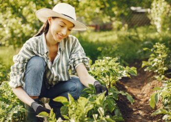 Como cuidar de plantas ajuda a combater a solidão