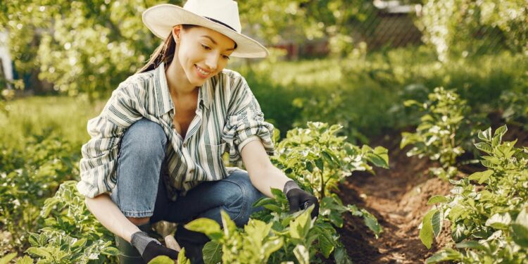Como cuidar de plantas ajuda a combater a solidão
